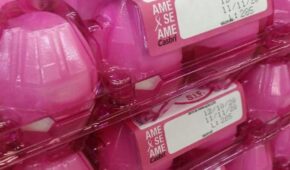 Ovos Casbri Outubro Rosa