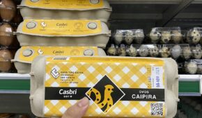 Ovo: o alimento essencial em tempos de pandemia