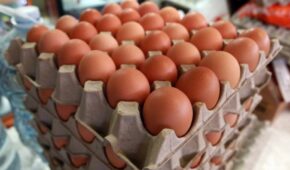Na xepa! Como dar tratamento VIP para ingredientes simples