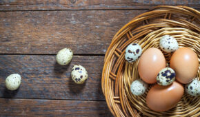 Ovos de galinha X Ovos de Codorna: qual incluir na dieta?