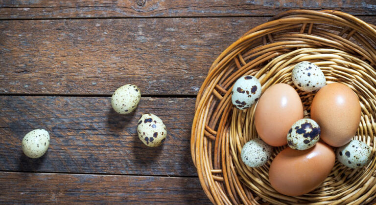 Ovos de galinha X Ovos de Codorna: qual incluir na dieta? - Casbri