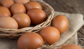 Ovo: Proteína ou Carboidrato?