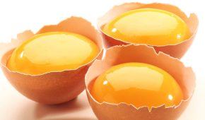 Você sabia que pode usar gemas de ovo como emulsificante?