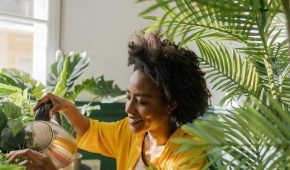 Água do Cozimento de Ovos: Um Segredo Nutritivo para Suas Plantas!
