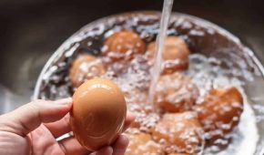Devemos lavar os ovos? Um Guia para Manter a Segurança Alimentar