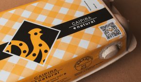 Desvendando Ovos: Qual a melhor escolha para você?