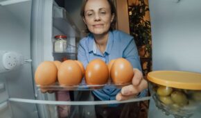 Dicas de Armazenamento para Manter Alimentos Frescos no Verão