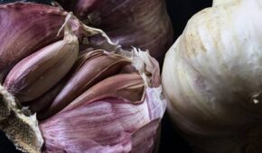 Alho roxo ou alho branco: quais são as diferenças e qual escolher?
